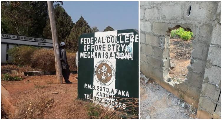 Video: Abducted Kaduna Students Beg FG To Intervene
