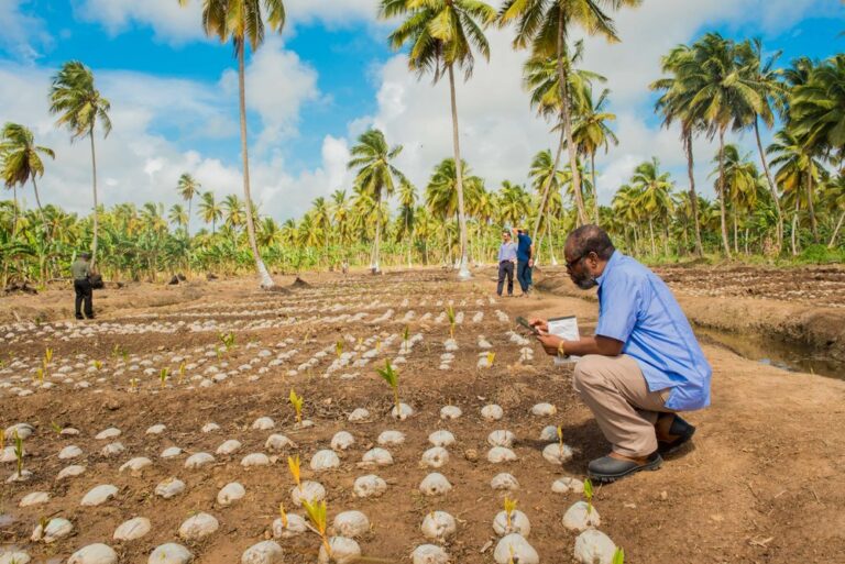 FG trains coconut farmers on nursery, processing in Edo State