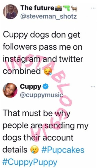 DJ Cuppy Disclose That People Send Account Numbers To Her Dogs