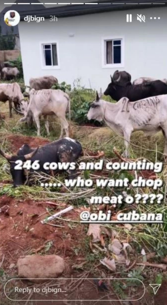 Cubana Chief Priest Gifts Former Boss 46 Cows For Mum's Burial