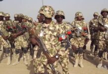 Troops Capture Suspected Boko Haram Member On Spy Mission