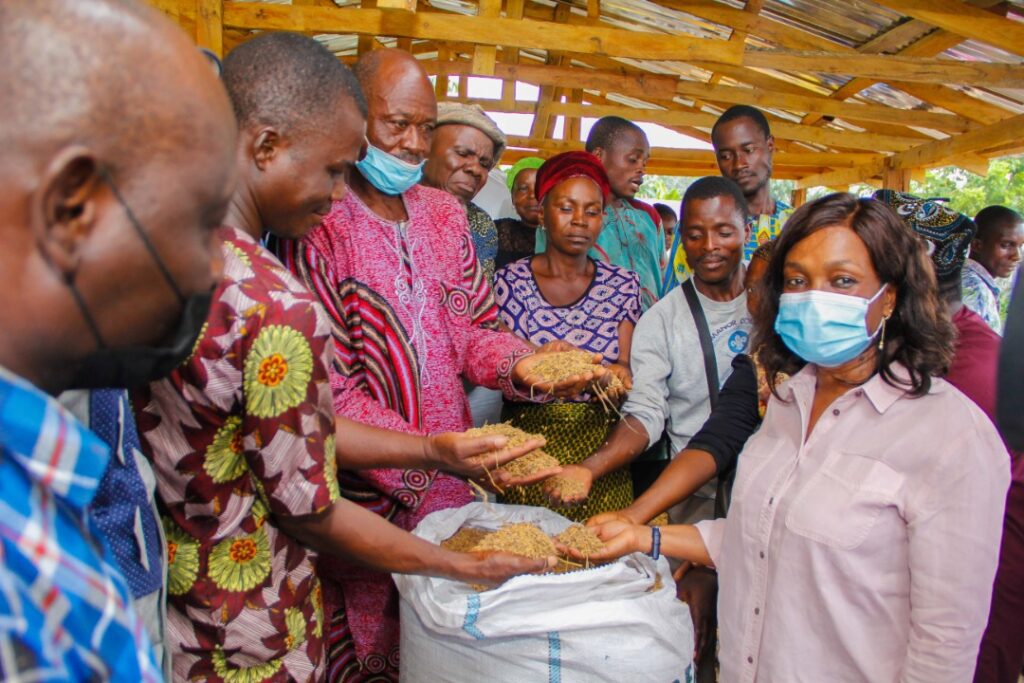 LASG Charges Farmers To Improve Ofada Rice Production