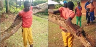 Photos: Man Nailed To Tree For Stealing Radio