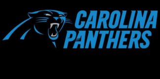 Carolina Panthers update logo | Local News | journalnow.com