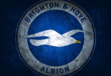Download wallpapers Brighton Hove Albion FC, English football club, blue  stone background, Brighton Hove Albion FC logo, grunge art, Premier League,  football, England, Brighton Hove Albion FC emblem for desktop free. Pictures
