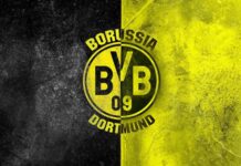 Borussia Dortmund Logo Wallpapers - Top Free Borussia Dortmund Logo  Backgrounds - WallpaperAccess