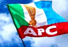 APC Flag Surulere 1 Federal Constituency