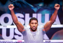 Anthony Joshua Thought Jay-Z Was Going to Hit Him After He Asked for Photo