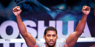 Anthony Joshua Thought Jay-Z Was Going to Hit Him After He Asked for Photo