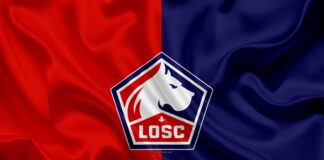 Download wallpapers Lille OSC, new logo, 4k, silk texture, new emblem,  French football club, red blue flag, France, football, Lille Olympique  Sporting Club for desktop free. Pictures for desktop free