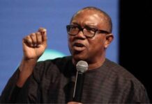 Peter Obi on Governorship and State House of Assembly elections