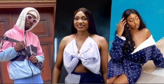 BBNaija 7: Organizers Reveal Why Evicted Housemates Were Retained