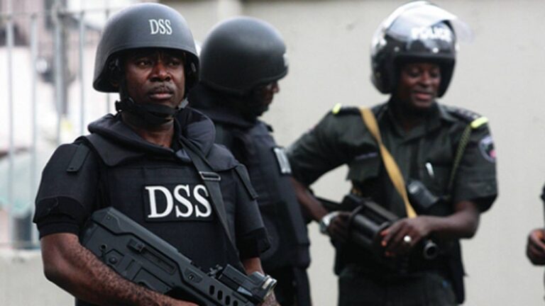 IPC Decries Harassment Of Executive Director By DSS