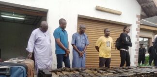 NDLEA Busts Cocaine Warehouse, Seizes N193B Worth Of Crack In Lagos