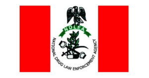 Ndlea Detains Nine Suspects In Kaduna