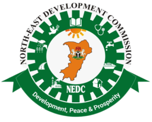 Gombe Flood Victims Receives Donation Worth Millions From NEDC