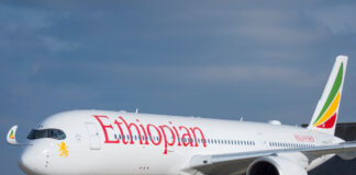 Ethiopian: Ethiopia Bans Visa On Arrival For Nigerians