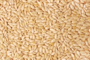 Improved Production Of Sesame, Sorghum Will Boost FX, Create Jobs