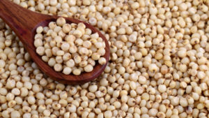 Improved Production Of Sesame, Sorghum Will Boost FX, Create Jobs