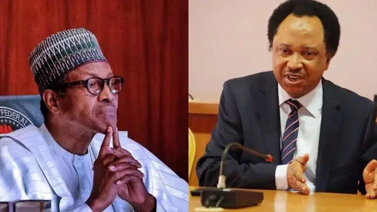 “Pay ASUU Their Full Wages”-Shehu Sani Slams FG