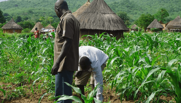 Four Million Nigerian Farmers, Women To Benefit From $109m UK Funding