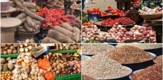 FAO on food price State of Emergency on Food Security