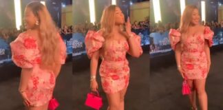 BBNaija's Erica Nlewedim Dragged Over Outfit To Premiere Of Wakanda Forever 