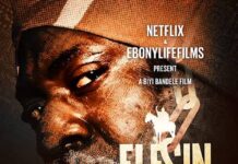 Elesin Oba, The King's Horseman Premieres On Netflix Today