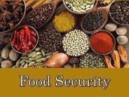 Experts Discuss Nigeria’s Food Insecurity Situation