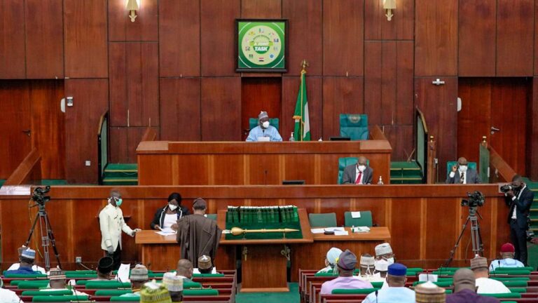 Late Man's Name In Voters Register : Reps Ask INEC For Review. 2024 Budget Debate