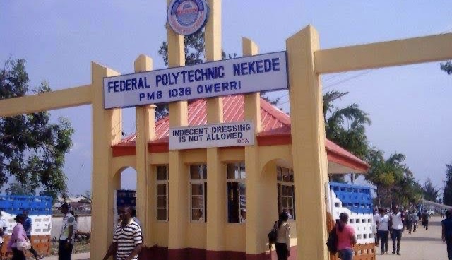 Nekede Poly To Punish Lady Who Credited ‘Sex For Grades’ For Graduation