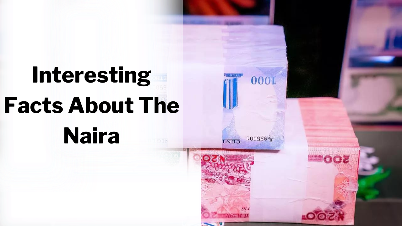 See Interesting Facts About The Naira | iBrandTV