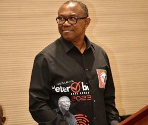 If He Gets 6000 Votes, Peter Obi Would Outperform 2019 LP Candidate