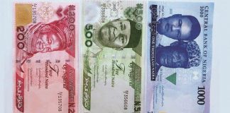 New naira notes