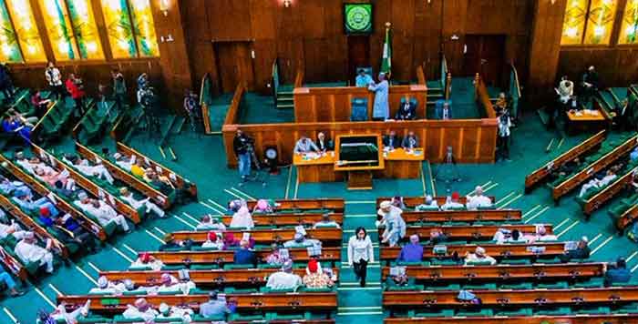 House of Representatives on oil theft