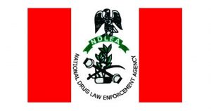 NDLEA Website Crashes, Pause Recruitment