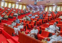 INEC Release List Of Senate-Elected, APC Top List