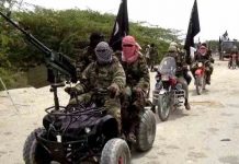 Jihadists Kill 37 Fishermen In Borno