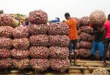 See How Much A Bag Of Onions Cost In Nigeria
