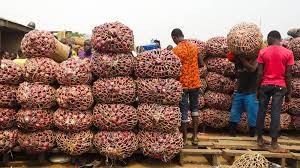 onions in mile 12 market