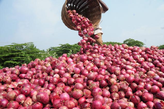 See What FG Advises Onion Farmers On Post-harvest Losses