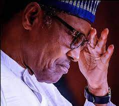 My Cows And Sheep Are Easier To Control Than Nigerians – Buhari