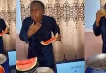 GWR Watermelon Akor