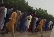 Ex-Boko Haram Terrorists Protest In Borno state Over Non-Payment Of Their Allowance