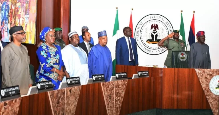 President Tinubu Presides Over Inaugural FEC Meeting. International Women's Day