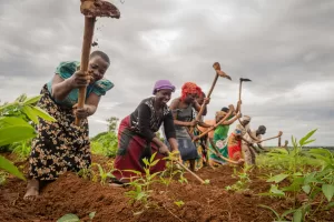 Agriculture: Female Farmers Cry Out, Beg FG For Palliatives 