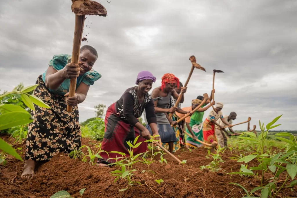 Enugu Farmers Receive ₦‎40m Agro-Inputs Gear From FG, IFAD