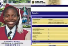 Nigeria Girl Clears Her WAEC With 9 A1s