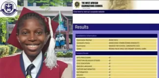 Nigeria Girl Clears Her WAEC With 9 A1s