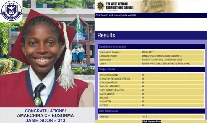 Nigeria Girl Clears 2023 WAEC With 9 A1s 